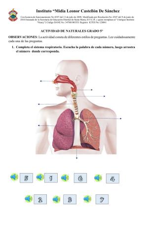 ACTIVIDAD DE REPASO DE NATURALES