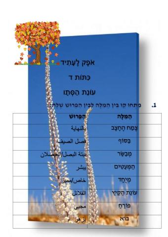 עונת הסתיו שורות 7-8