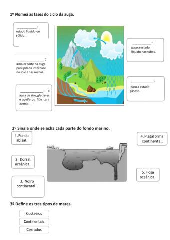 Ciclo auga.fondo abisal