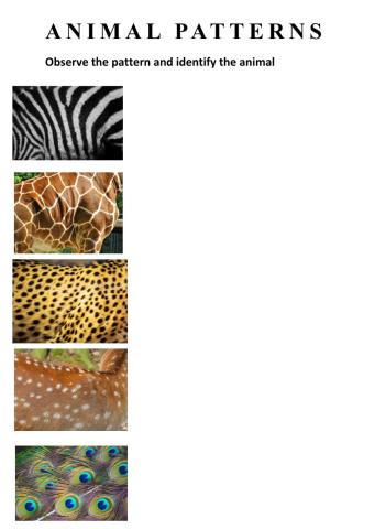 Animal patterns