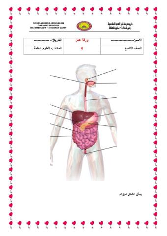 تعيين اجزاء 