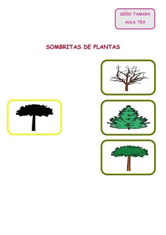 Sombritas