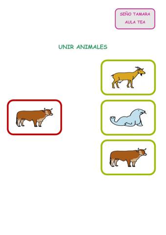 Animales