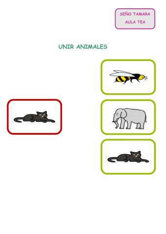 Animales