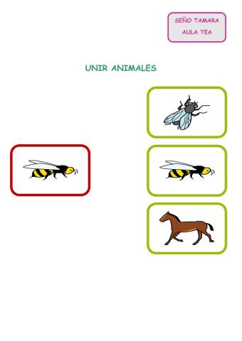 Animales