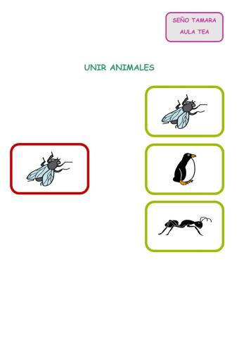 Animales