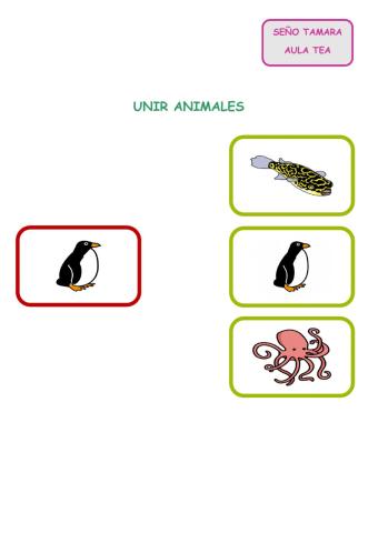 Animales