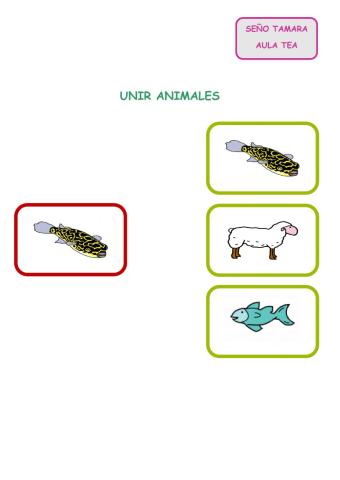 Animales