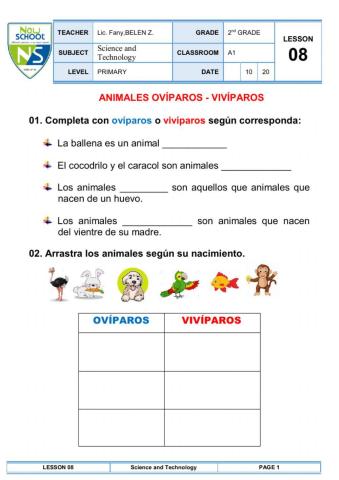 Animales ovíparos y vivíparos