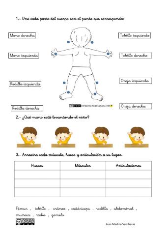 Esquema corporal y Lateralidad