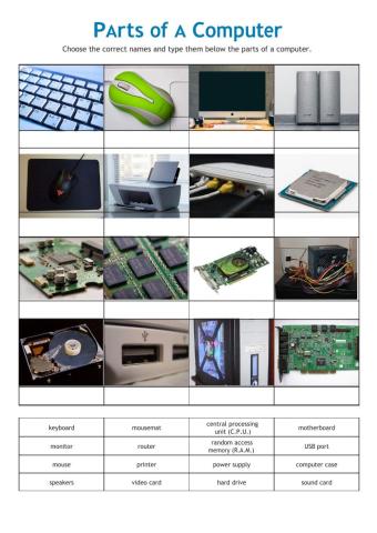 Parts of the Computer