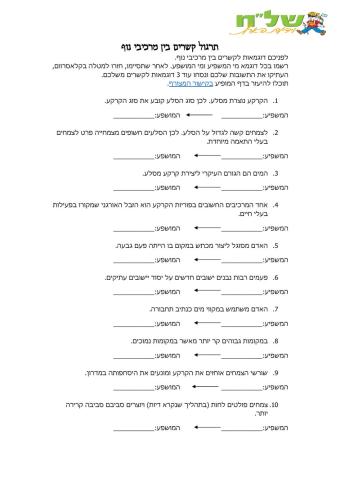 תרגול קשרים בנוף