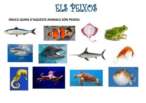 Els peixos