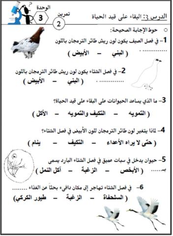 ورقة عمل عن التكيف والتمويه في الحيوانات