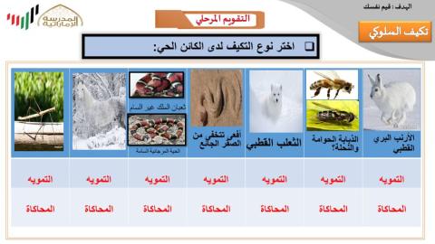 ورقة عمل مقارنة بين التمويه والمحاكاة