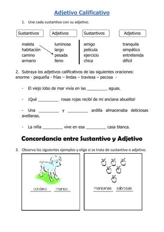 Ficha 2.- Adjetivos