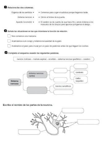 Naturales T1