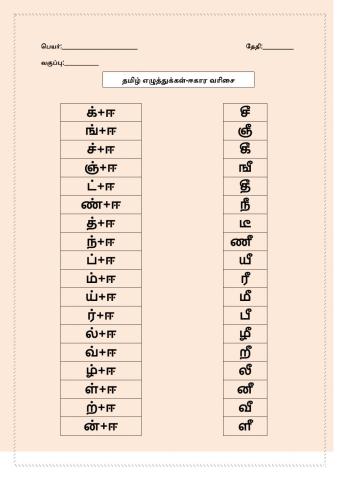 தமிழ் எழுத்துக்கள்