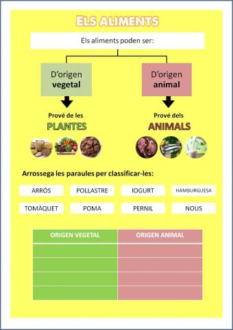 Origen aliments