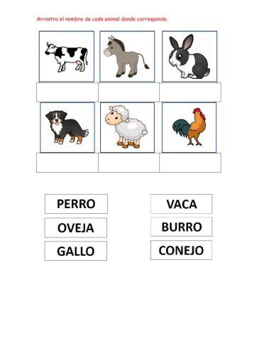 Animales