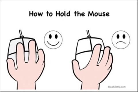 Mouse