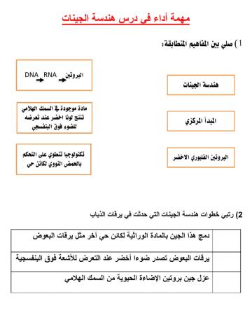 ورقة عمل هندسة الجينات 1