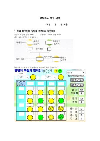 멘델의독립의법칙(복사용)