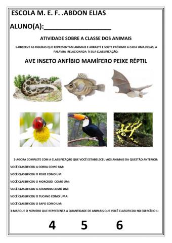 Ciências: classe dos animais