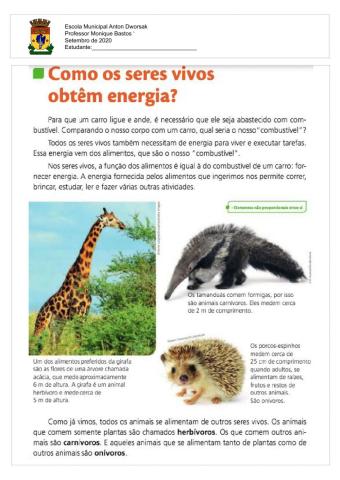 Ciências - Animais e Alimentação