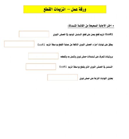 ورقة عمل انزيمات القطع