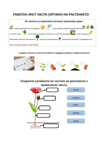 Части (органи) на растението