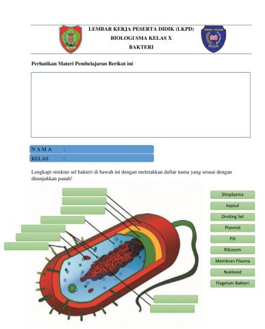 LKPD-BIOLOGI X-BAKTERI