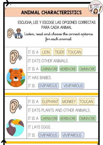 Animal classification