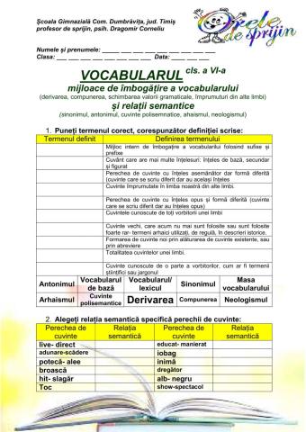 Vocabularul VI