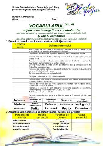 Vocabularul VII