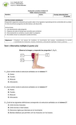 Evaluación sistema locomotor 4°A