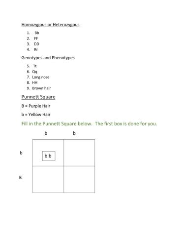 Genetics Vocabulary Review