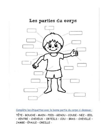 Les parties du corps humain