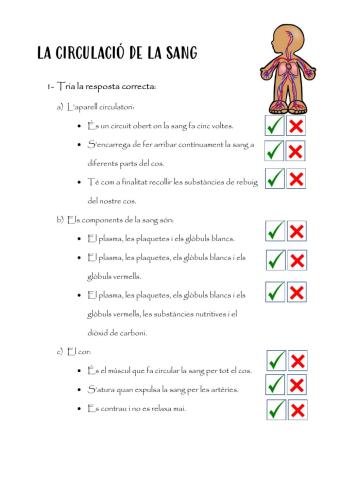 La circulació de la sang