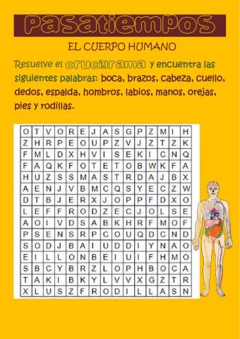 Pasatiempos del cuerpo humano