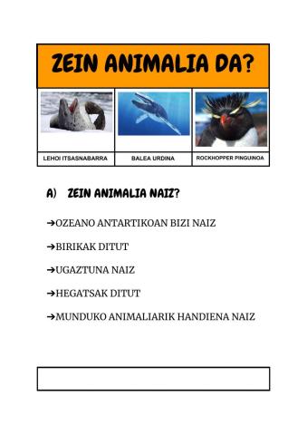 Antartidako animaliak. zein animalia naiz?