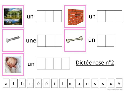 Dictée rose 2