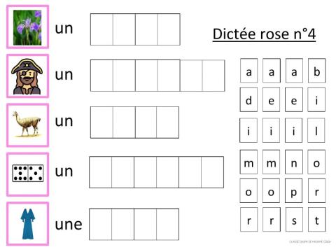 Dictée rose 4