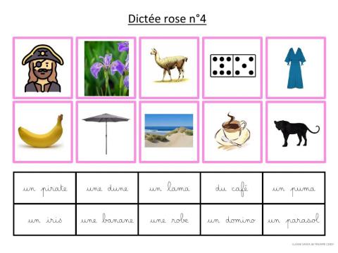 Dictée rose 4