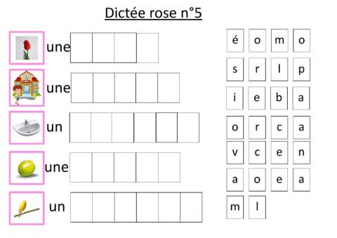 Dictée rose 5