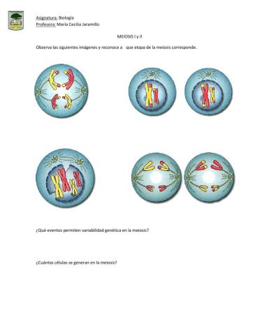 Meiosis I y II