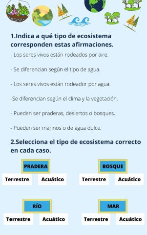 Tipos de ecosistemas