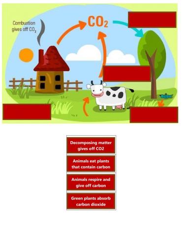 Carbon cycle