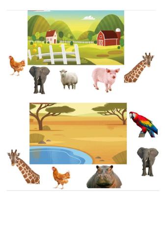 Animals and Habitats