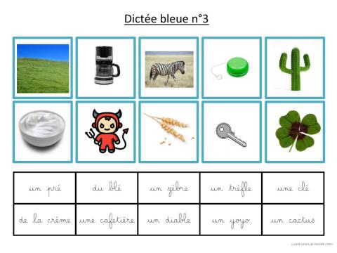 Dictée bleue 3